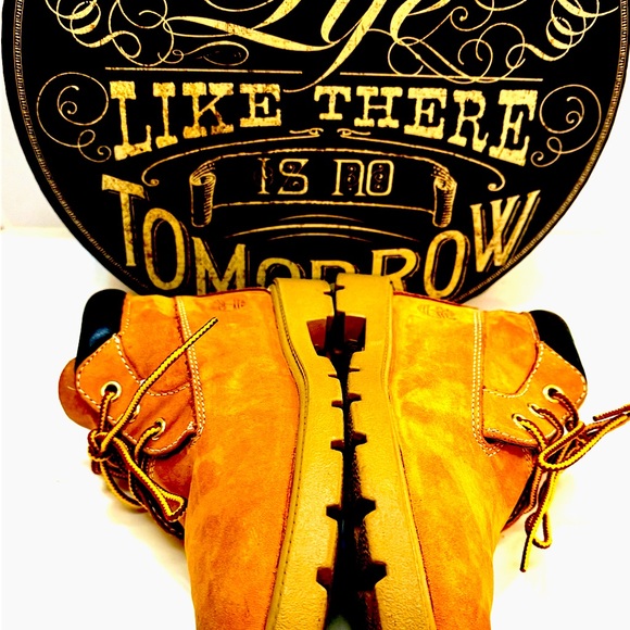 Timberlsnd - Picture 11 of 11